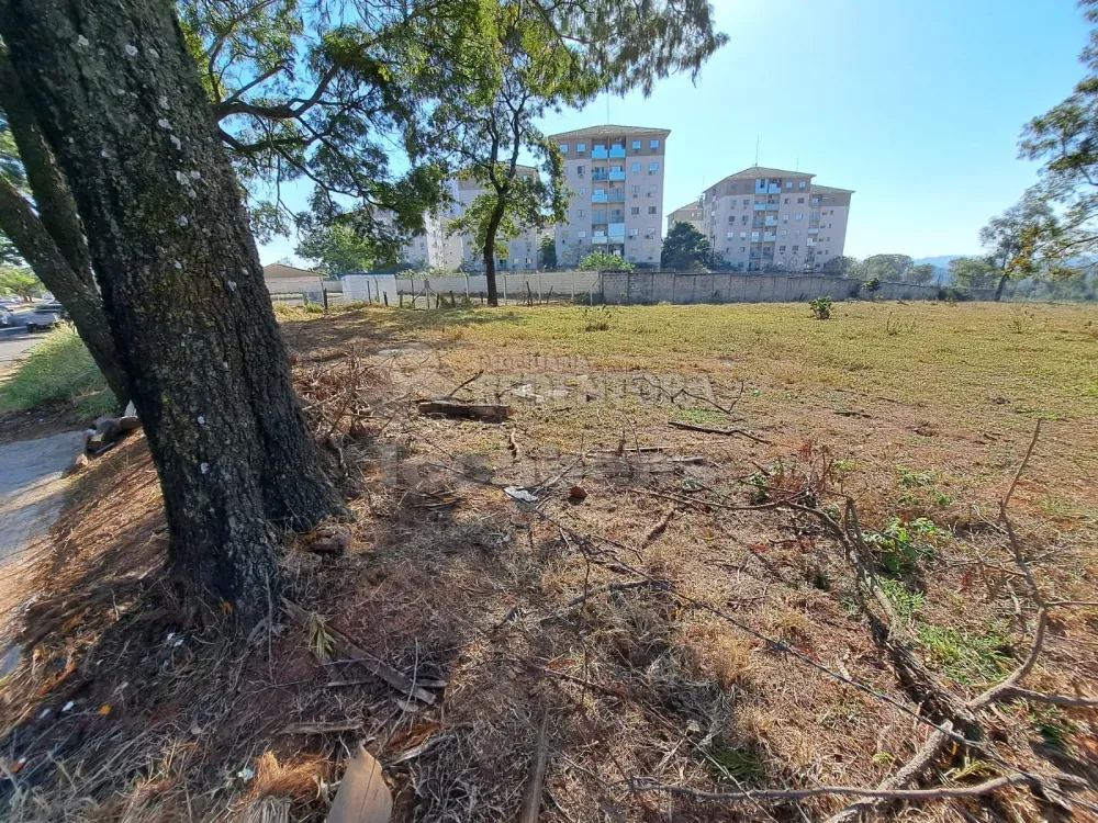 Loteamento e Condomínio, 8000 m² - Foto 1