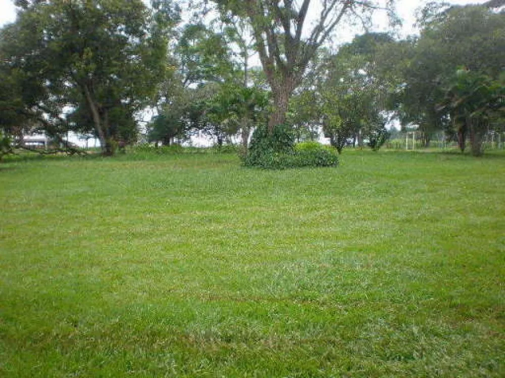 Chácara, 3 quartos, 2 hectares - Foto 6