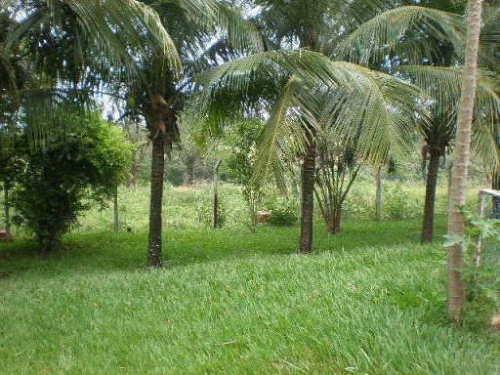 Chácara, 3 quartos, 2 hectares - Foto 2
