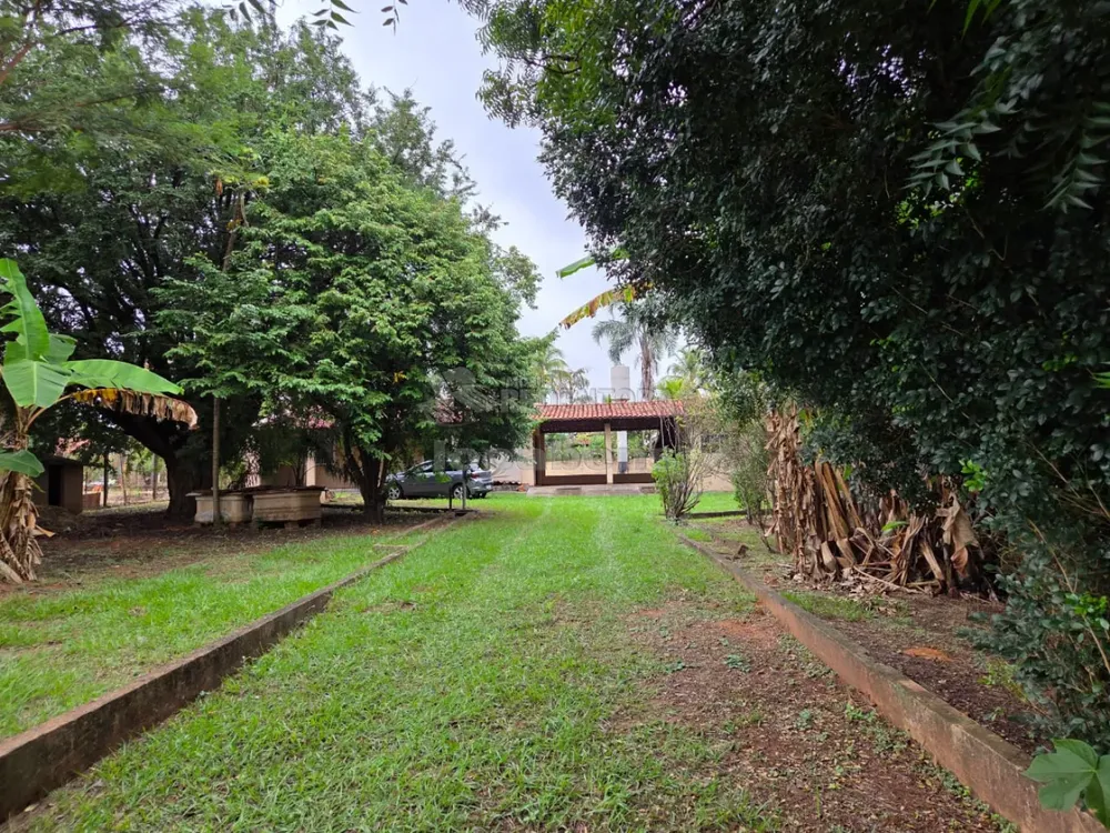 Chácara, 2 quartos, 2578 m² - Foto 3