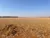 Fazenda, 207 hectares - Foto 4