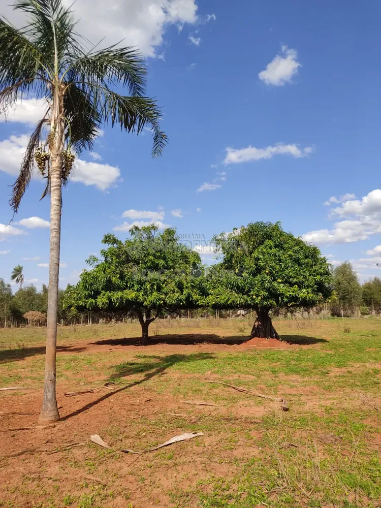 Sítio, 6 hectares - Foto 4