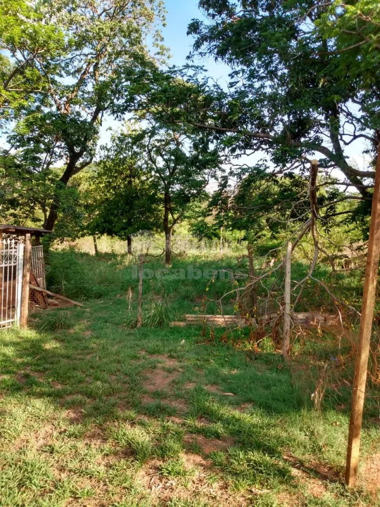 Chácara, 2 quartos, 9840 m² - Foto 7