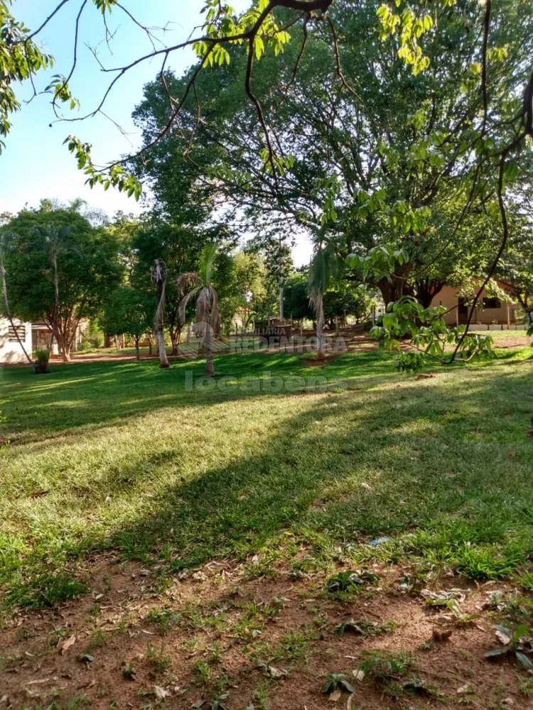 Chácara, 2 quartos, 9840 m² - Foto 3