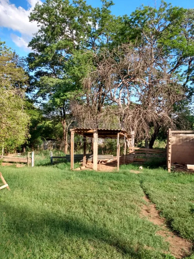 Chácara, 2 quartos, 9840 m² - Foto 4