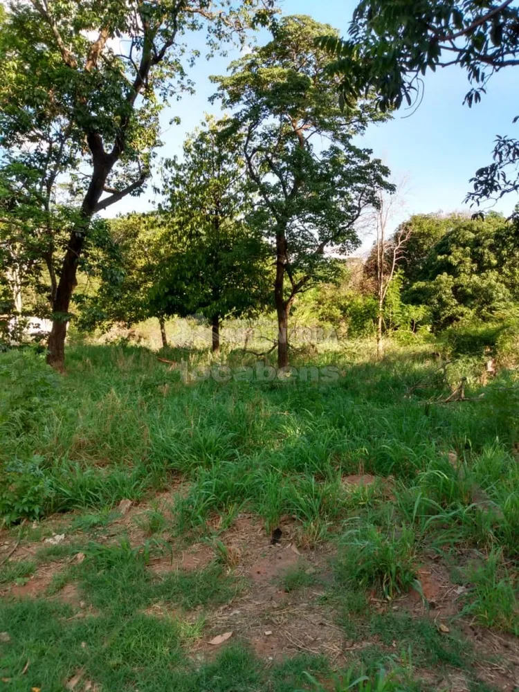 Chácara, 2 quartos, 9840 m² - Foto 2