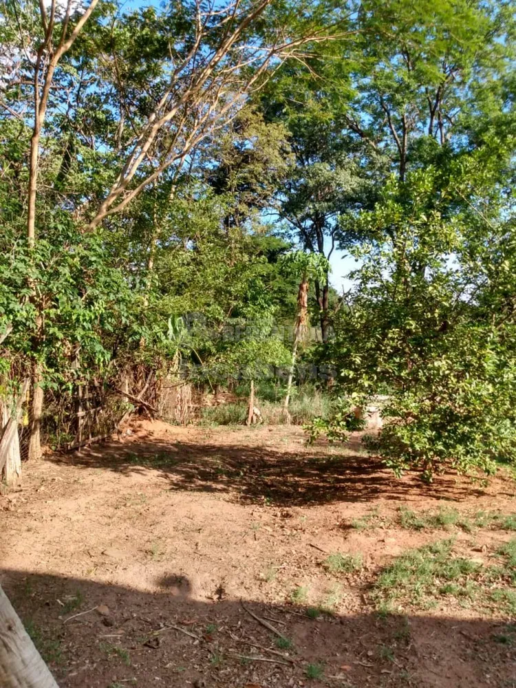 Chácara, 2 quartos, 9840 m² - Foto 6