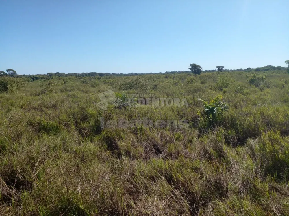 Fazenda, 1462 hectares - Foto 1