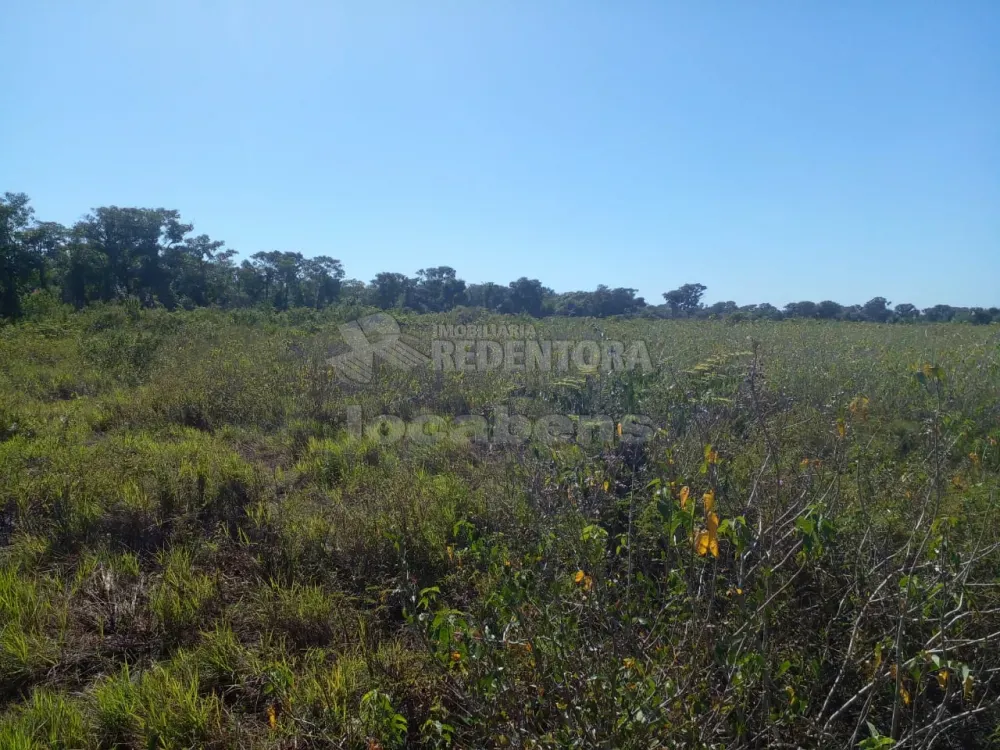 Fazenda, 1462 hectares - Foto 2