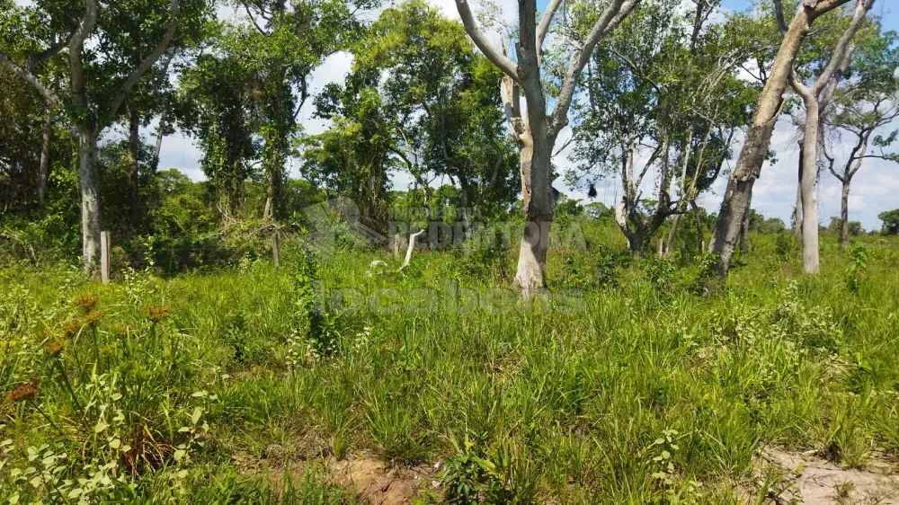 Fazenda, 1462 hectares - Foto 7