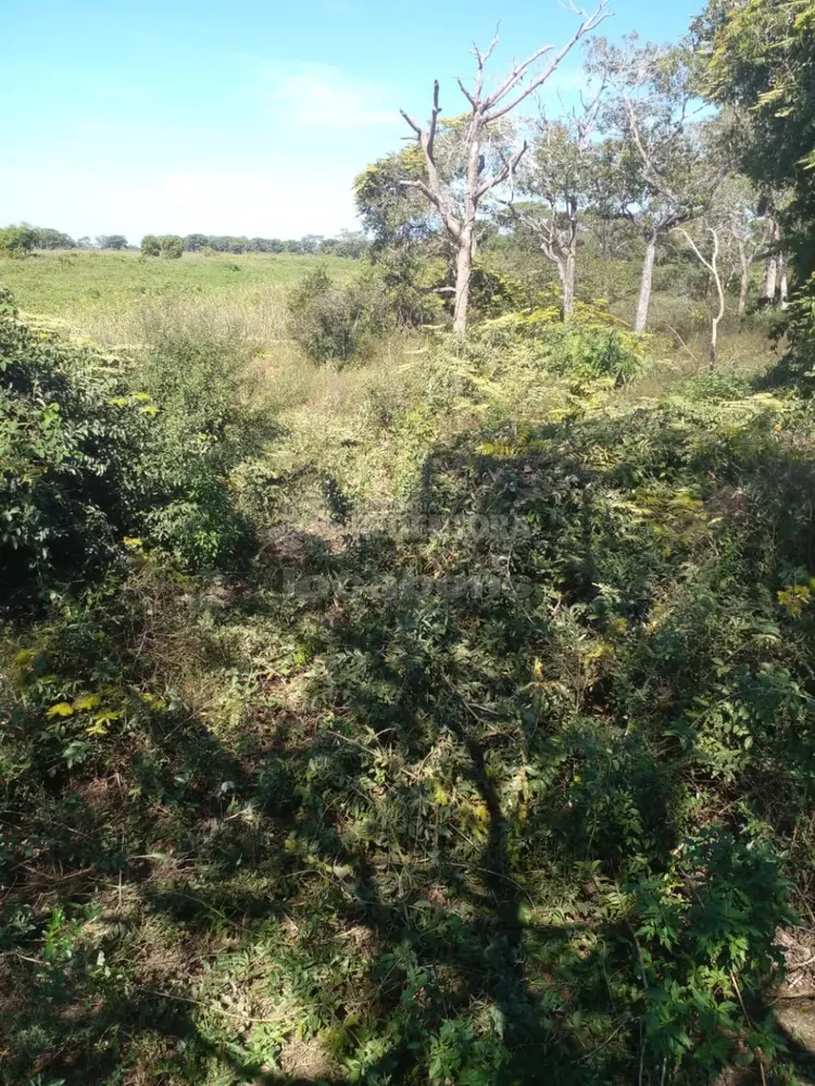 Fazenda, 1462 hectares - Foto 4