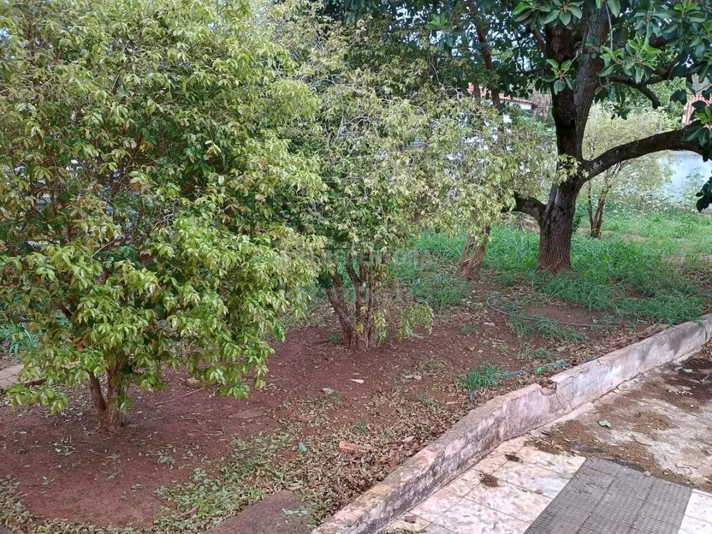 Chácara, 1000 m² - Foto 5