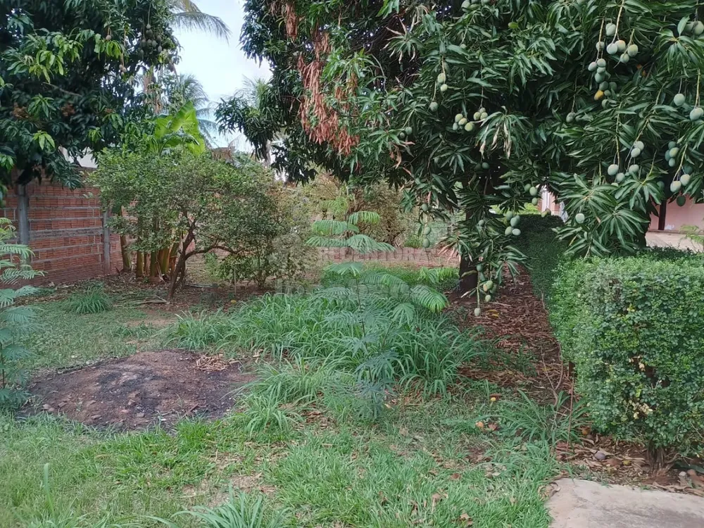 Chácara, 1000 m² - Foto 6