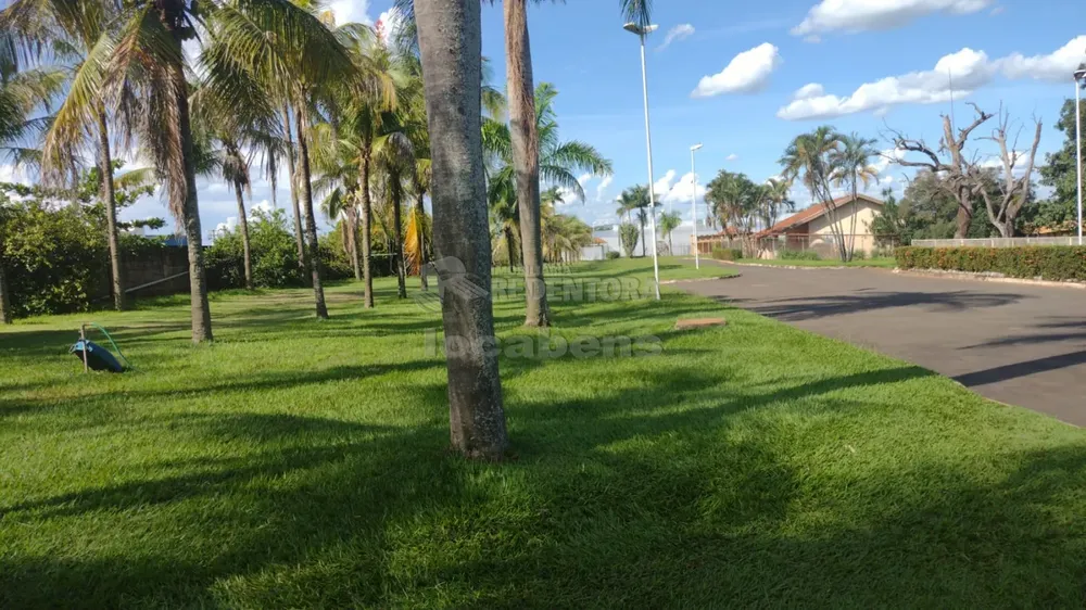 Sítio, 3 quartos, 1 hectares - Foto 1
