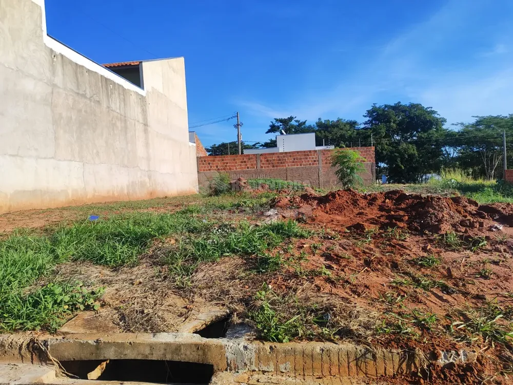 Terreno, 245 m² - Foto 6
