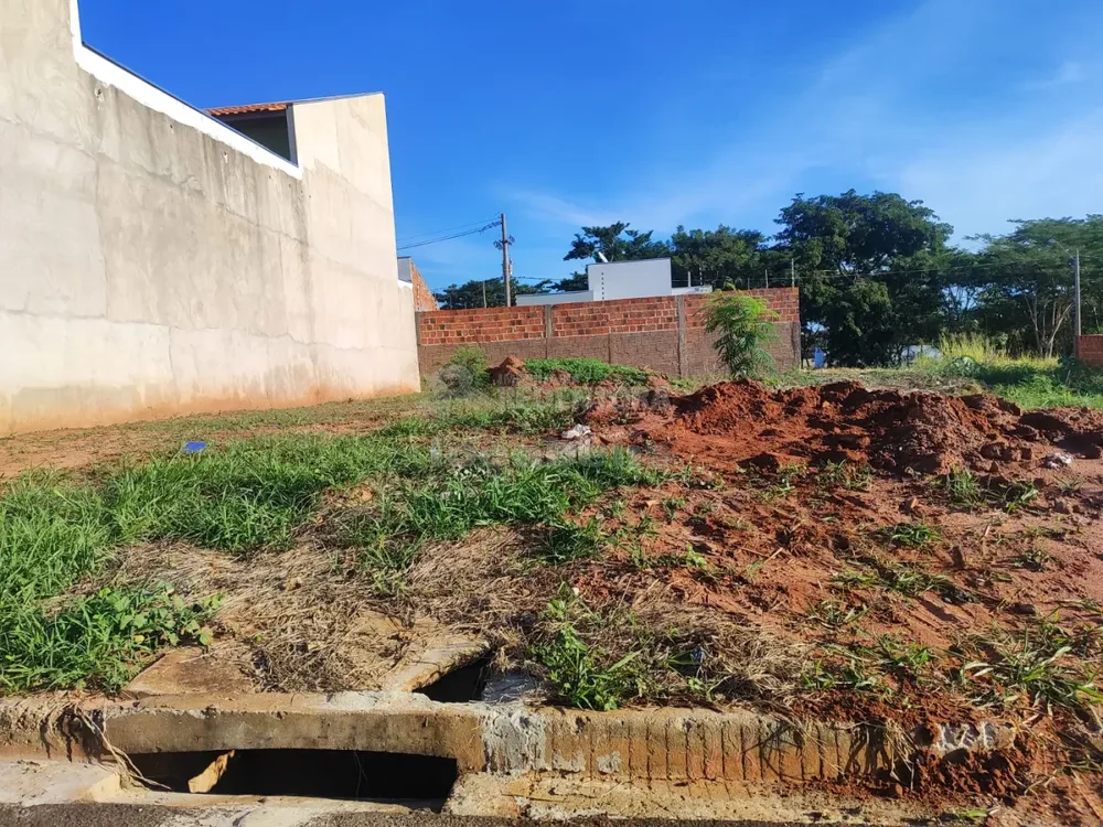 Terreno, 245 m² - Foto 1