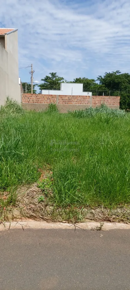 Terreno, 245 m² - Foto 4