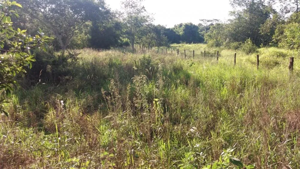 Loteamento e Condomínio, 5670 m² - Foto 2