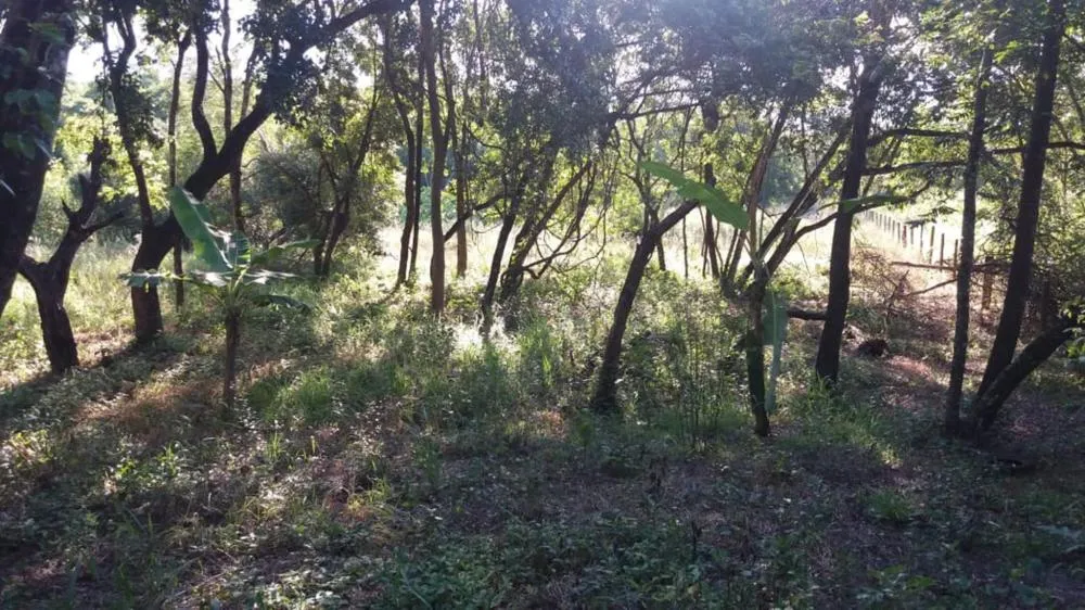 Loteamento e Condomínio, 5670 m² - Foto 5