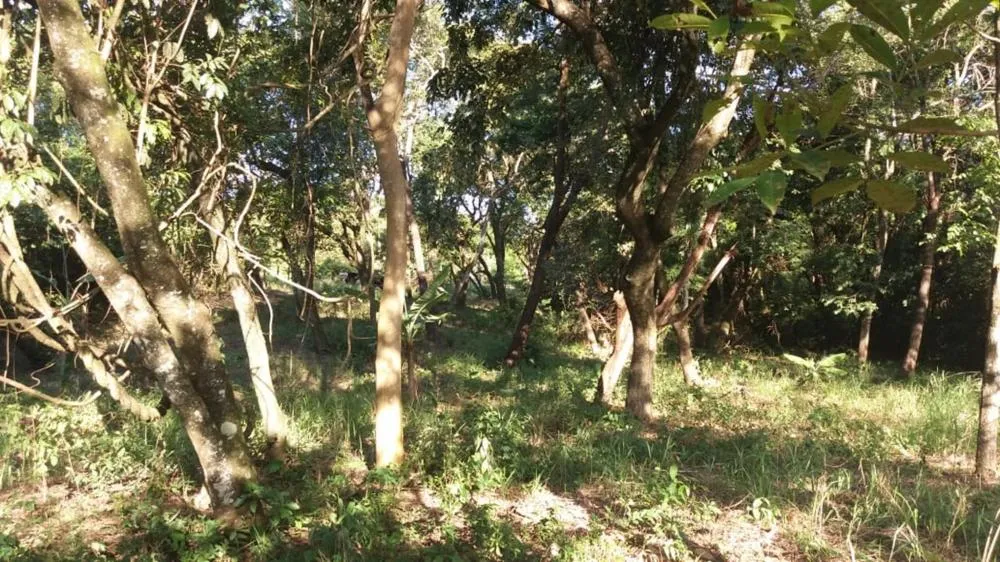 Loteamento e Condomínio, 5670 m² - Foto 4