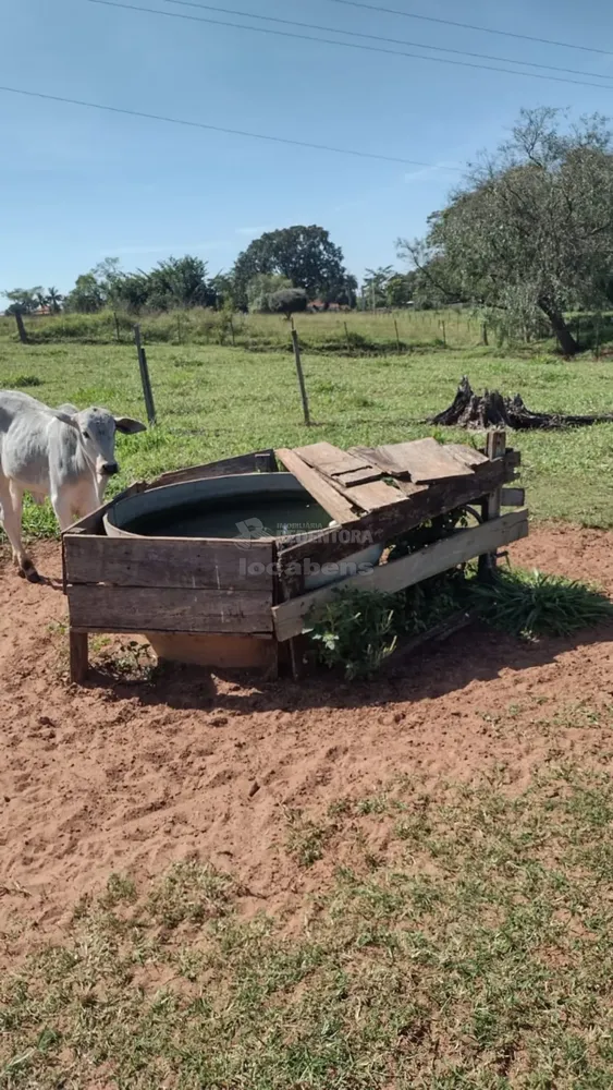 Sítio, 3 quartos, 11 hectares - Foto 4