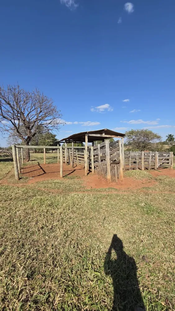 Sítio, 3 quartos, 11 hectares - Foto 3