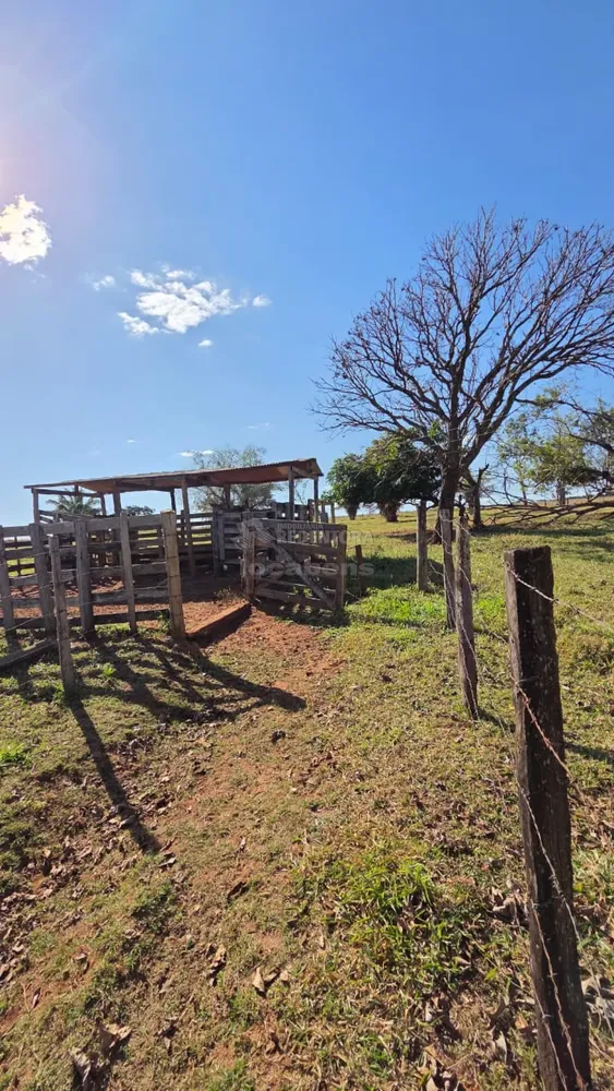 Sítio, 3 quartos, 11 hectares - Foto 1