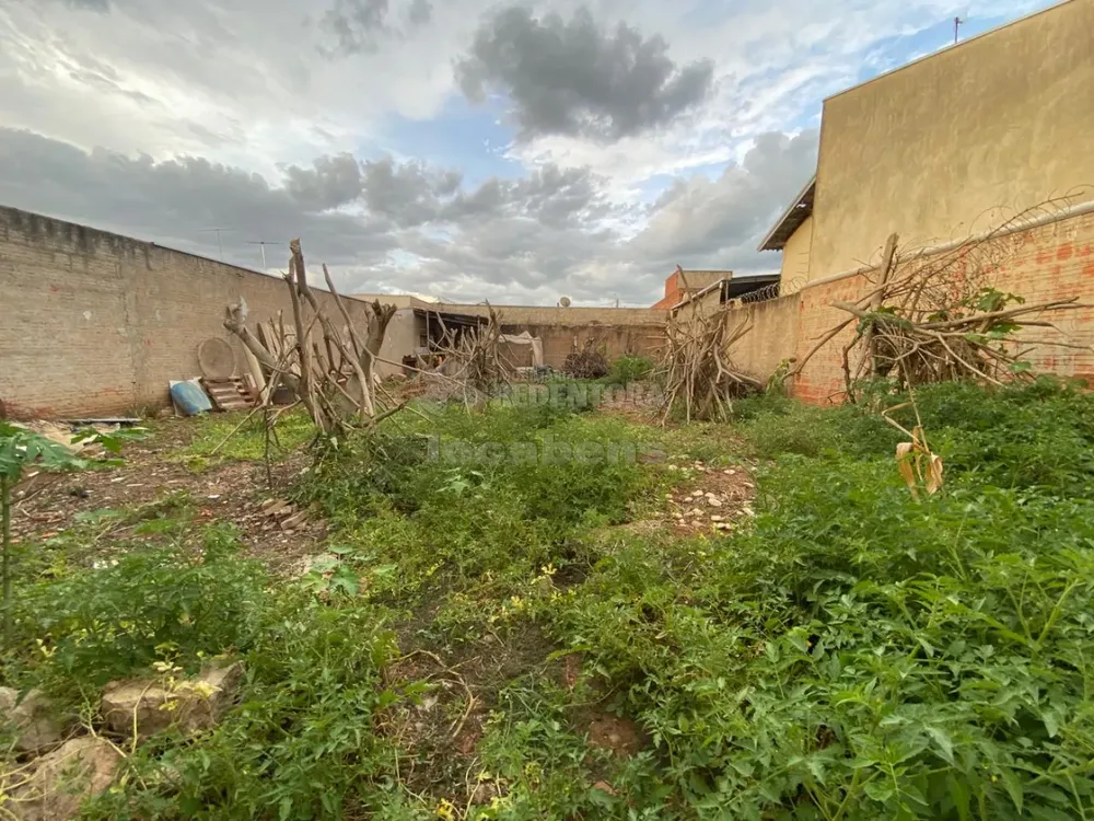 Terreno, 242 m² - Foto 2