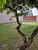 Terreno, 231 m² - Foto 2