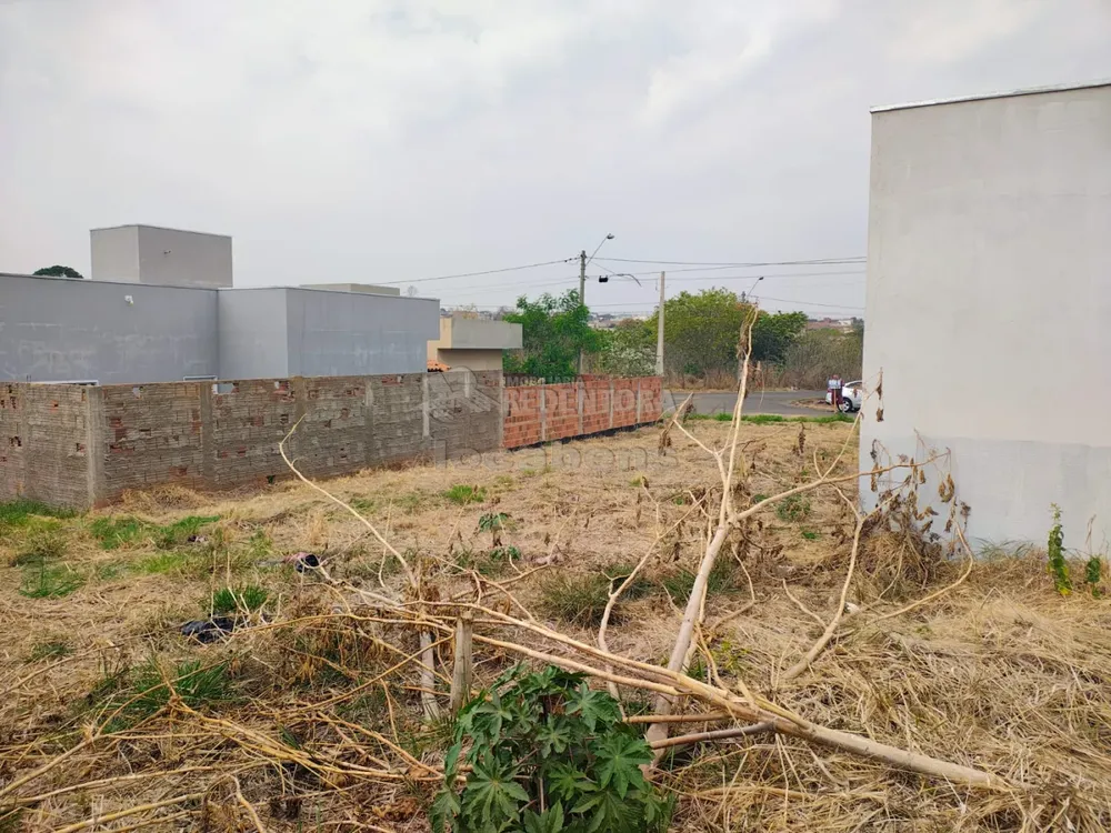 Terreno, 251 m² - Foto 2