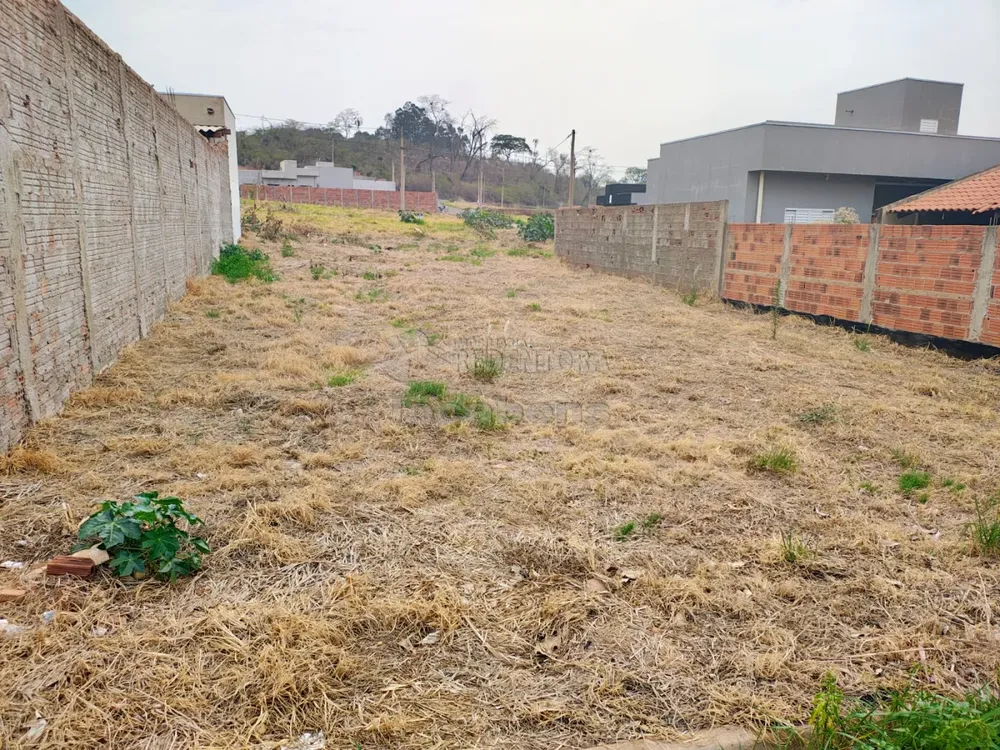 Terreno, 251 m² - Foto 4