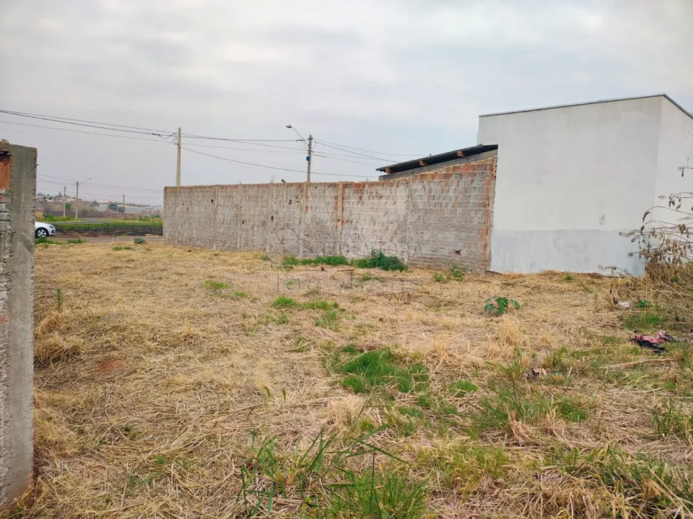 Terreno, 251 m² - Foto 1