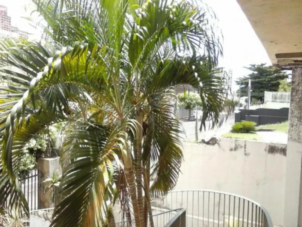Casa, 3 quartos, 300 m² - Foto 7