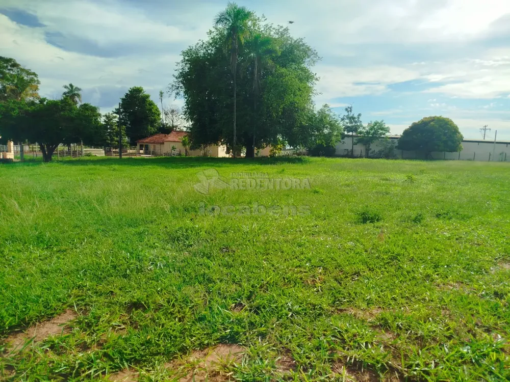 Sítio, 6 hectares - Foto 4