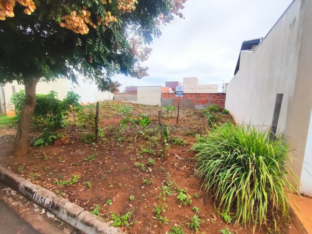 Terreno, 336 m² - Foto 3
