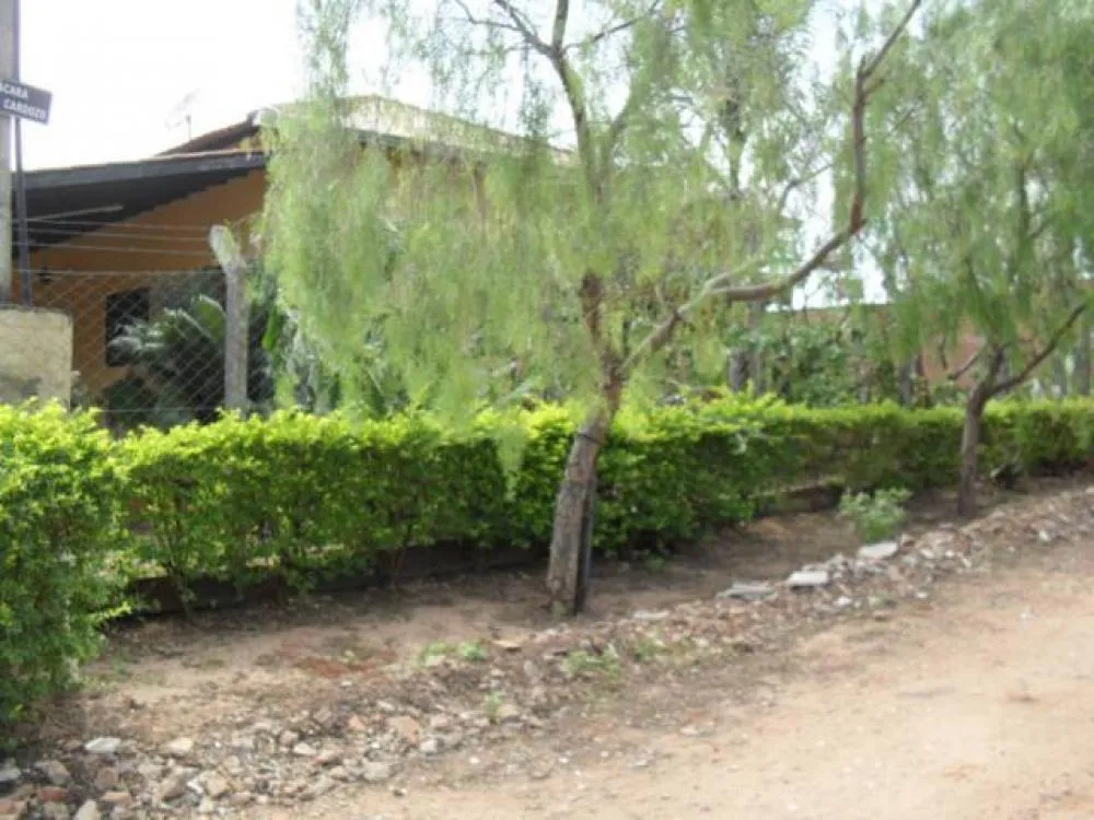 Chácara, 6 quartos, 6000 m² - Foto 2