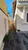 Casa, 3 quartos, 80 m² - Foto 1