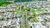 Terreno, 400 m² - Foto 6