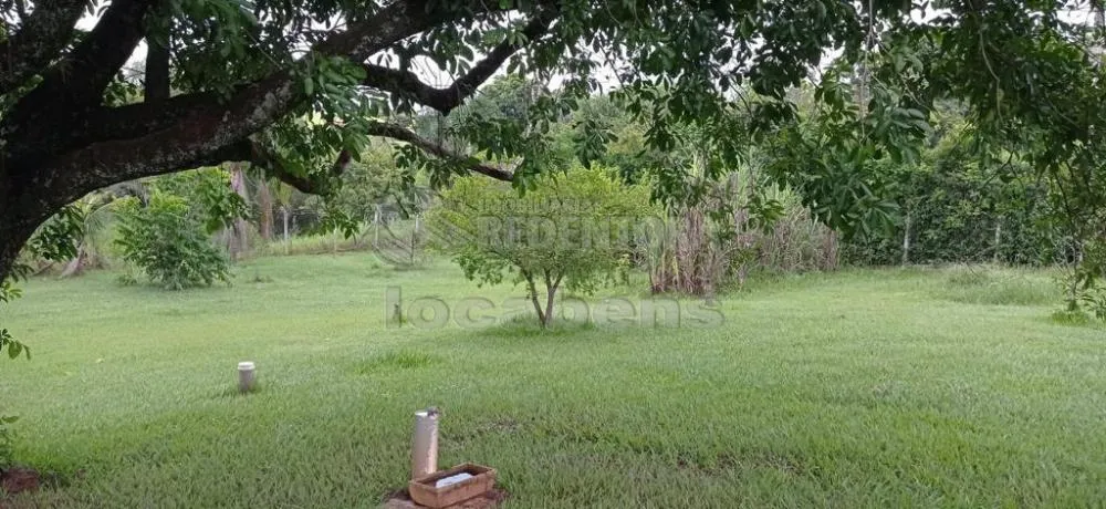 Chácara, 3 quartos, 2 hectares - Foto 3