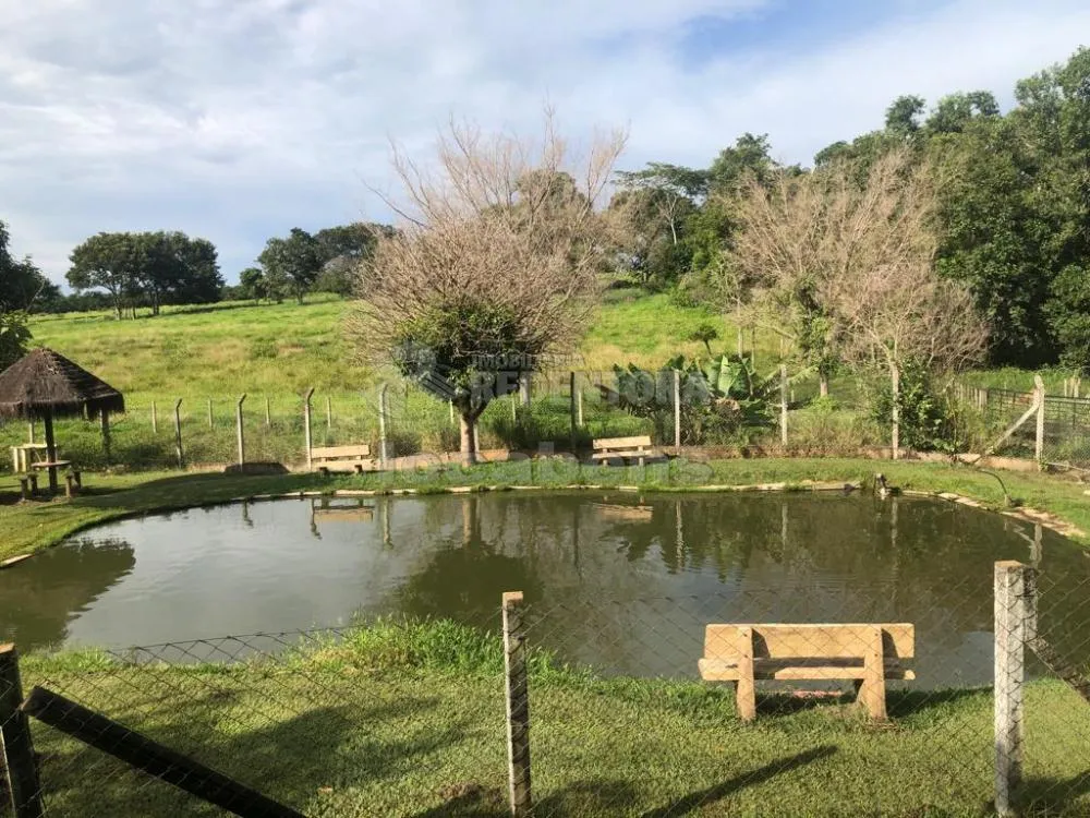 Chácara, 3 quartos, 2 hectares - Foto 8
