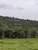 Fazenda, 96 hectares - Foto 4