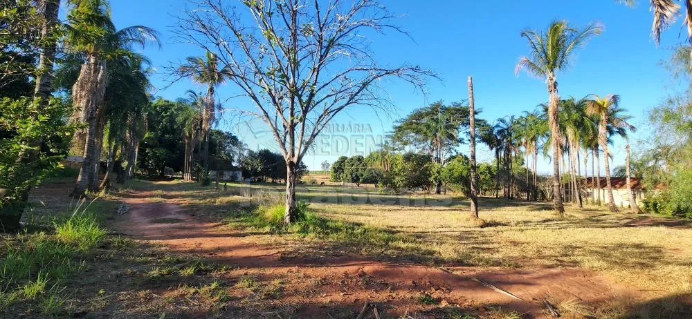 Chácara, 6 hectares - Foto 2