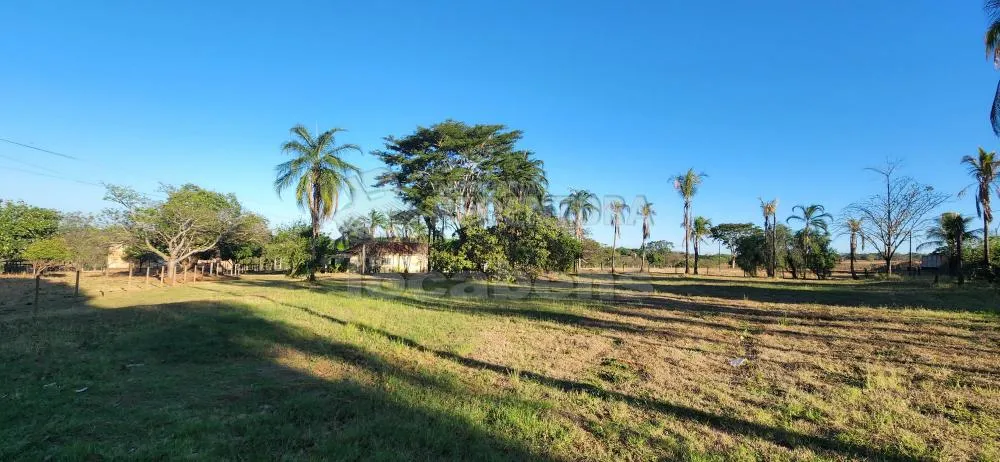 Chácara, 6 hectares - Foto 6