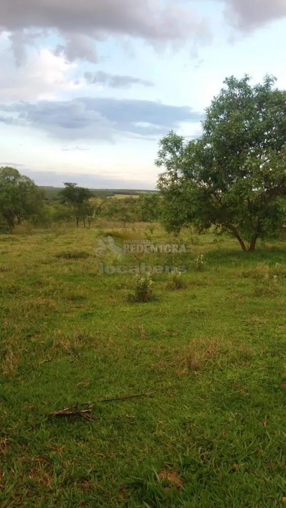 Fazenda, 2 hectares - Foto 3