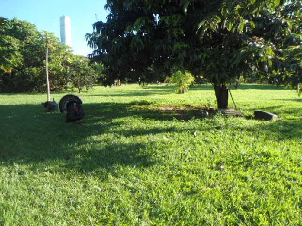 Casa de Condomínio à venda com 4 quartos, 500m² - Foto 8