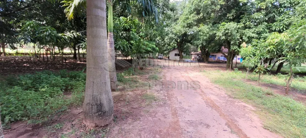 Chácara, 2 quartos, 6400 m² - Foto 4