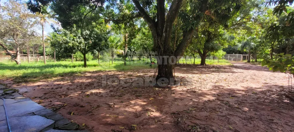 Chácara, 2 quartos, 6400 m² - Foto 5