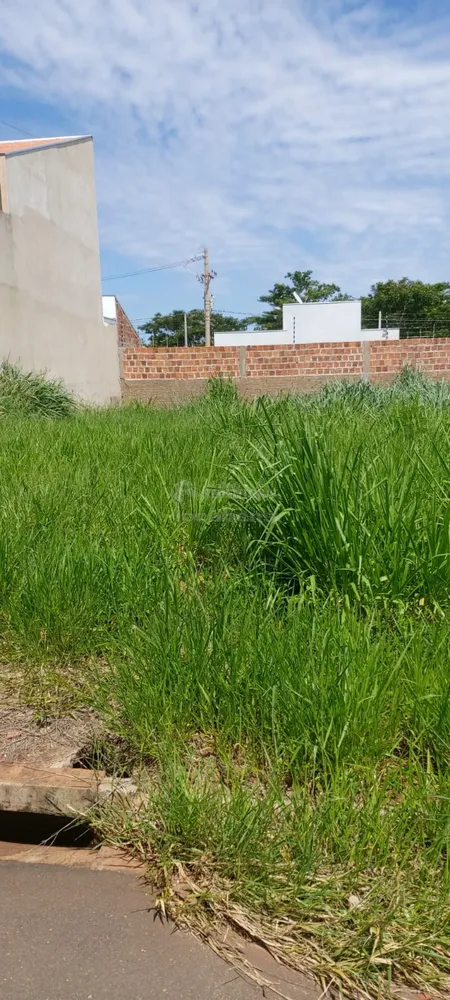 Terreno, 245 m² - Foto 7