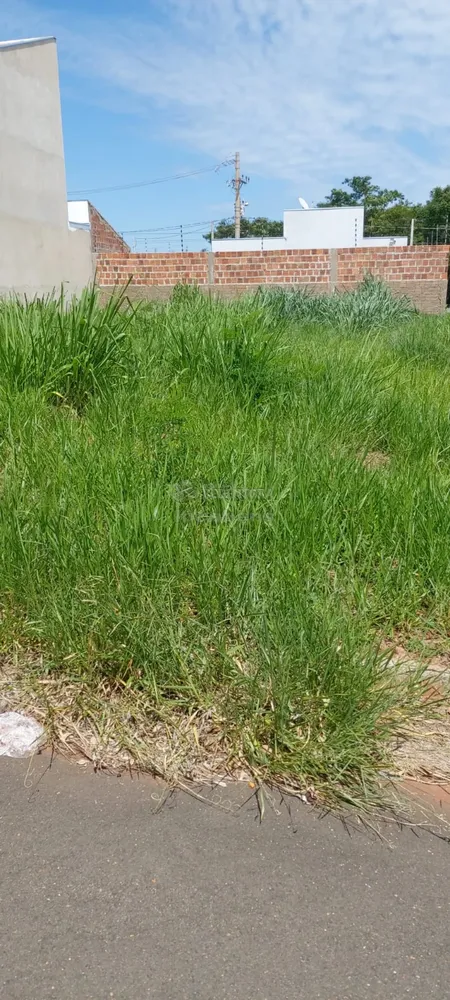 Terreno, 245 m² - Foto 6