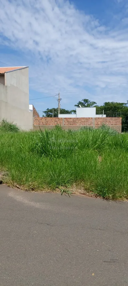 Terreno, 245 m² - Foto 4